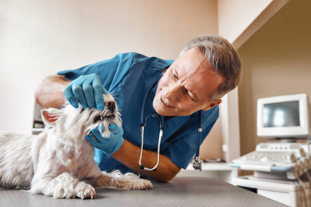 Best Weekend Emergency Dentist in St Cloud, FL